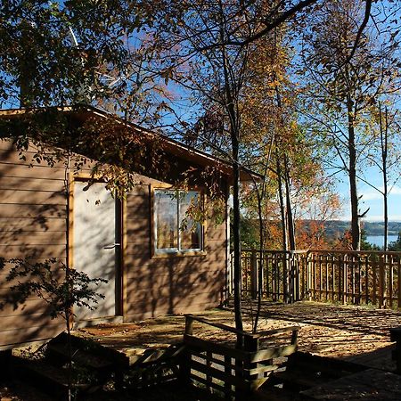 Cabanas Mas Ke Miel Lago Ranco Exterior photo